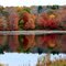 Fall Reflections