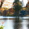 Pond at Matthies Park