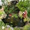 Garden with a little pond