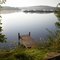 Lake Pocotopaug