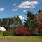 Fall in Glastonbury