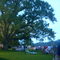 New Canaan - Independence Day