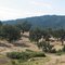Hills by Alisal Resort Ranch, close to Solvang, California, USA