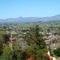Santa Ynez