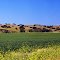 Countryside