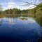 Spring at the Breakneck Pond