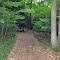 Trail Through Woods