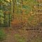 Treetops State Park
