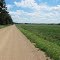 A view to the south on County Road 106, about a mile north of the Iowa Border.