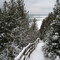 2008 Winter at Christmas Cove