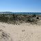 Cat Head Bay from Leelanau Sand Dunes