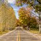 Michigan Fall Colors 2010