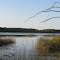 Mud Lake