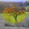 Stand alone in Autumn