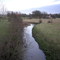 River Anker, Weddington Meadows