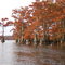 Jap Island in the fall