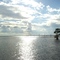 Caddo Lake, Oil City, LA