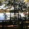 Back Porch Caddo Lake