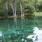 Manatee Springs