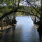 Suwannee River Creek, Old Town FL