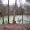 Manatee Springs