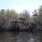 Along the Suwannee River