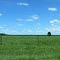 Fields