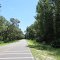 Manatee Springs State Park
