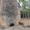 Ruins of Bulow Sugar Mill