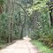 Old Beach Road, Bulow Sugar Plantation entrance (8-29-2011)