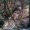 Rock Creek from Stone Bridge
