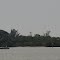 Cabbage Key Water Tower from Pine Island Sound