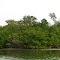 Cayo Costa from Pelican Bay
