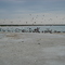 Cayo Costa State Park