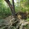 exposed limestone in swallet channel, county line (6-2011)