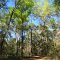 Dames Cave Trail