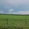 Clouds over your effluent field
