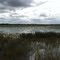 Lake Pasdena, Dade City, FL