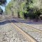 2012, Along Rte 60 - railroad tracks