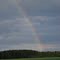 It's A Rainbow