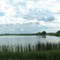 Pond near Lake Madison