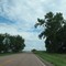 Trees near 239th