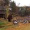 Sixes Mill