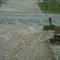 WOODSTOCK HAIL STORM