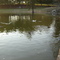 오리가 있는 Shorty Howell Park Pond, Duluth, GA