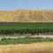 Paso Robles AVA, San Luis Obispo county, California
