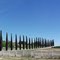 Arciero Winery, Paso Robles, CA