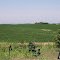 Newton, Iowa: Sugar Grove Winery