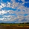 The Trip to Nirvanah