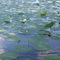 Bloomington, Lake Lemon